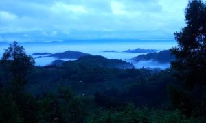 549 mountains & mist